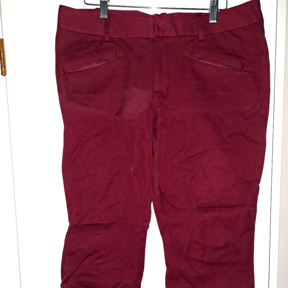Burgundy Pants in Petite